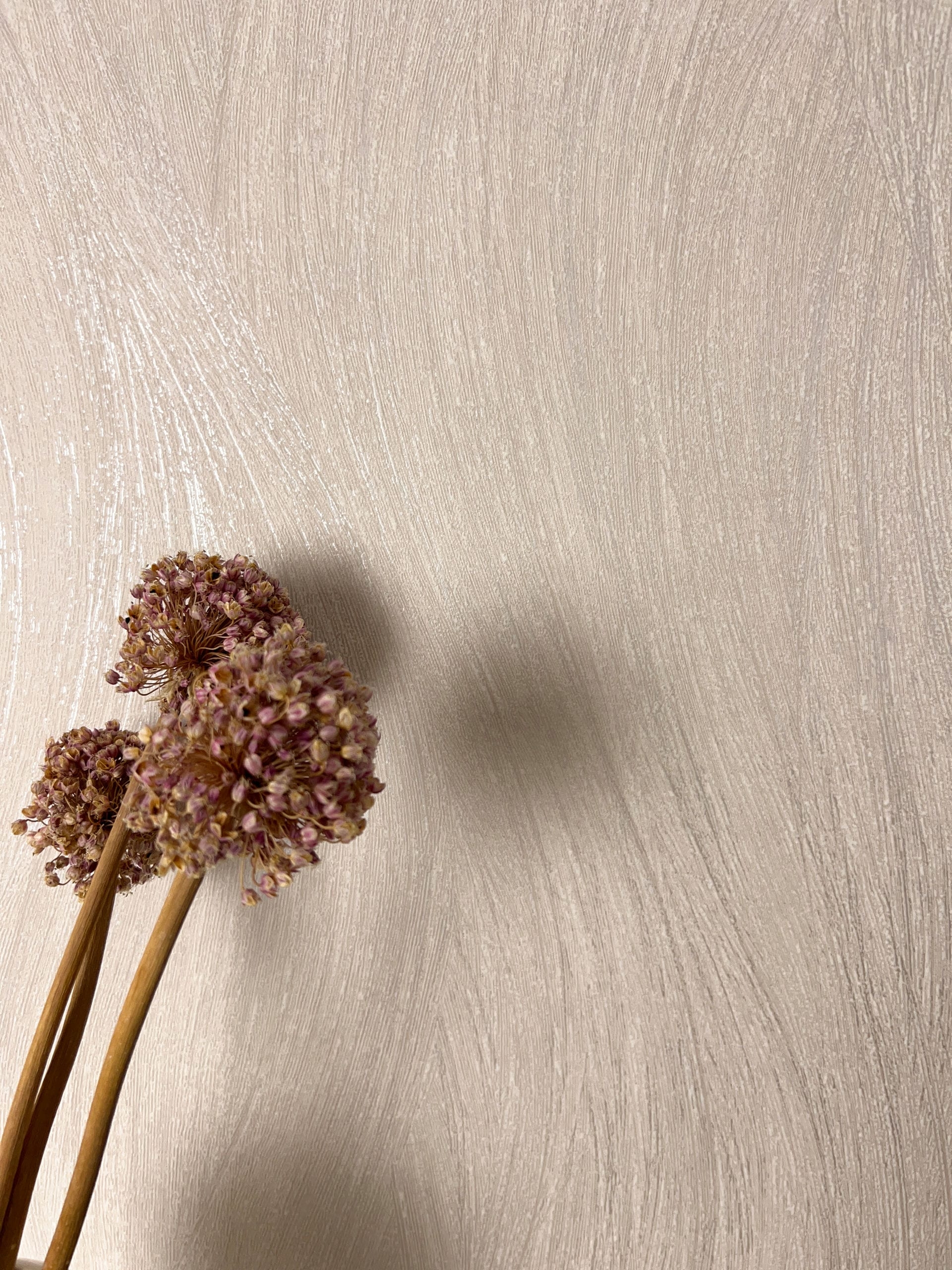 Arlet Harmony Beige