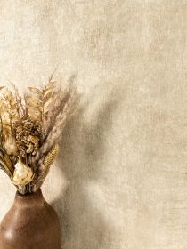 Lucian Beige