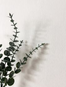 Feine Linien